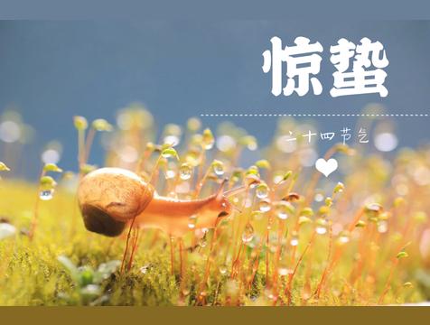 惊蛰有什么讲究和禁忌