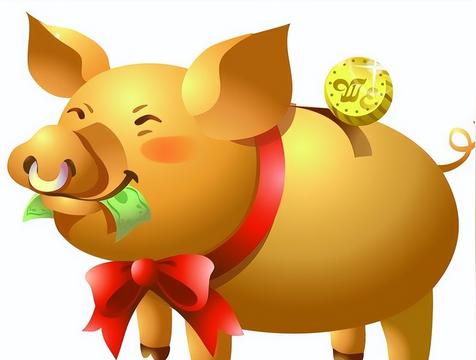 属猪适合做什么行业工作