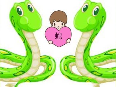 属蛇的四大桃花年(大桃花年份是几月)