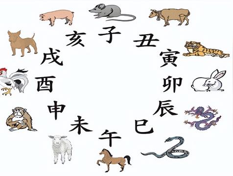 属鼠最忌讳的属相(兔、羊、马)