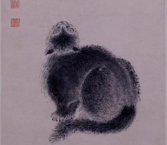 为什么十二生肖没有猫