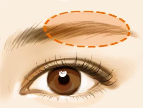 眉弓高的面相学怎么说