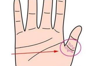 人要发财看大拇指（大拇指看财运）