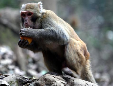 属龙人一生最旺3个人