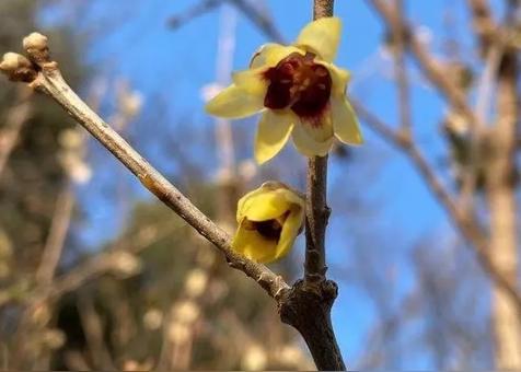 五行缺什么是可怕的（不能缺哪一行）