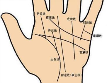 生命线看寿命一览表