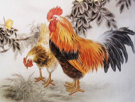 金鸡独立是什么生肖（鸡）