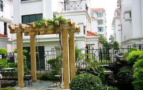 屋后种什么树更旺(屋后风水好镇宅的