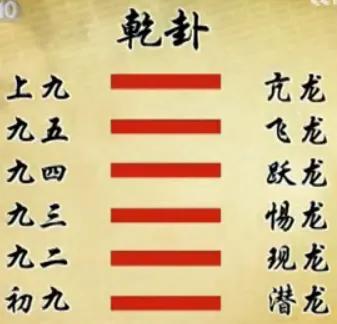 乾卦预示着什么