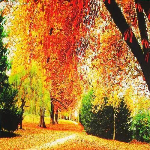 破相之后人会转运吗（装相与破相）