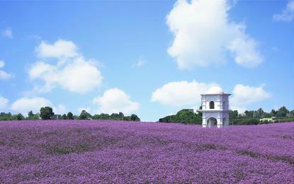 女人胸前有痣代表什么命运