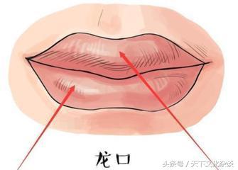 富贵嘴面相是什么意思