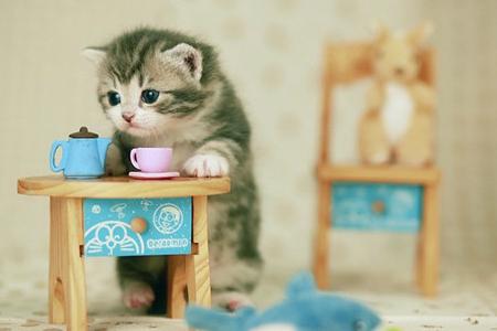 和天秤座谈恋爱需要注意什么