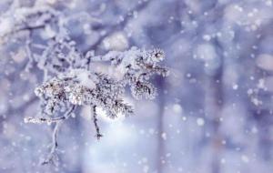 腊月出生的人是什么命运