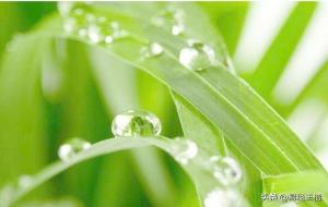 癸水是什么东西（癸水命运）