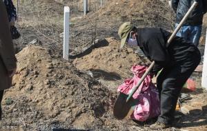 挪坟地有什么讲究，挪坟什么时间好