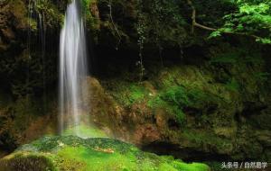 八字纯阳为什么要保密