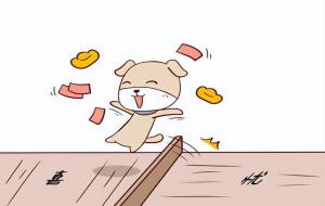 属狗的6合生肖是什么(兔)