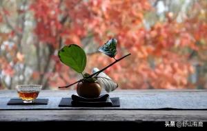 家运不好一般要几年（十年）