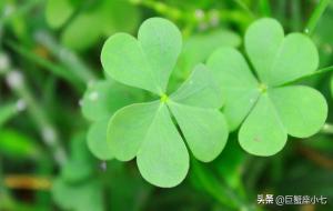 巨蟹座可怕吗(巨蟹三个可怕之处)