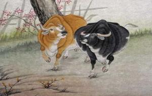 属牛会富贵的出生日期