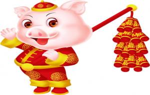 属猪的6合生肖是什么（虎）