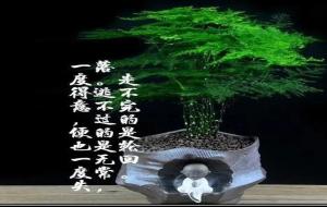 什么是缘分(缘分的真正含义)