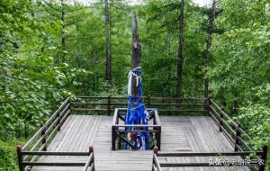 雷击木是什么木头