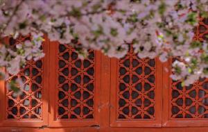 脾气温柔的星座,性格温柔的星座女