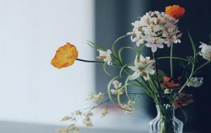 性格忽冷忽热是什么星座