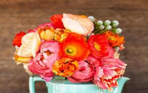 狮子座真正放下的表现