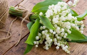 干净的人很贵气，干净的家有福气