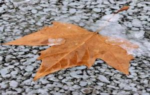 为什么普通人不能看易经