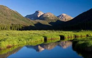 傻小子的桃花运（微小说）