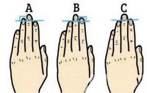 手指长短看命运（图解）