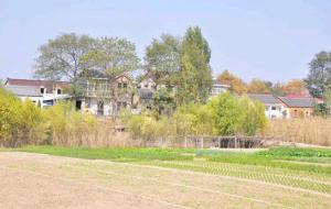 男怕初一、女怕十五什么意思