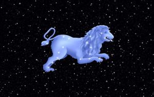 狮子座霸道吗（狮子座霸道的占有欲）