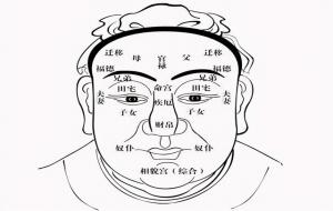 尖下巴面相：下巴尖如锥，财富化成灰