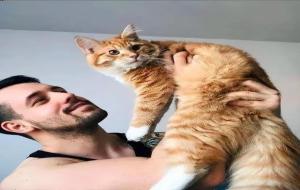 男不养猫,女不养狗的典故原文