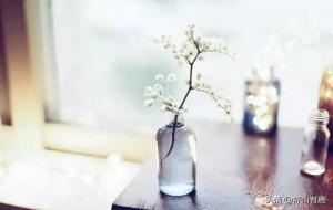 大器晚成一般是多少岁