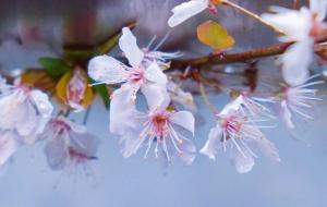 不会回头的3大星座