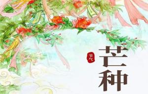 芒种三候分别是什么