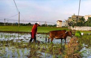 烧纸钱有什么讲究时间， 一般烧纸在