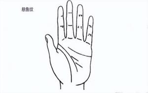 悬鱼纹手相主富贵