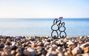 正缘出现时间测算(正缘出现的六大征