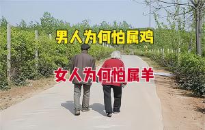 男怕属鸡、女怕属羊什么意思