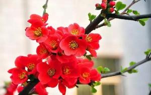 一生运势测算，人生运势查询方法