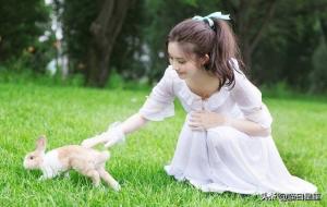 折磨狮子座的星座，越折磨越喜爱