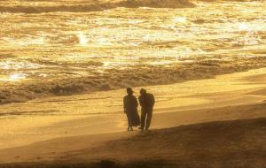 给人感觉柔弱的星座女