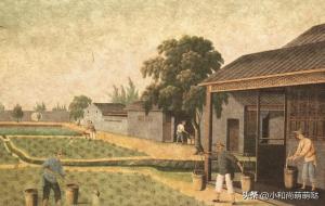 门前堆粪穷到老、屋后栽树钱财跑